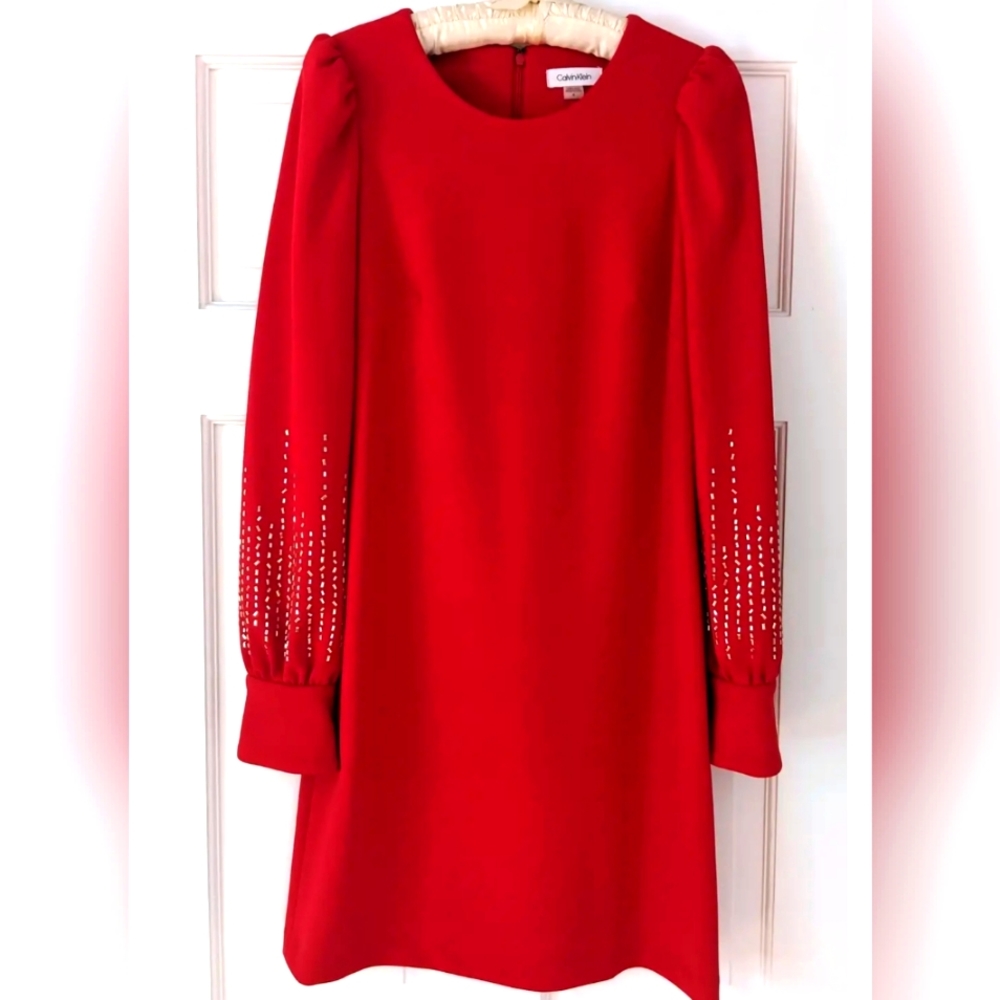 Calvin Klein Embellished Dress.